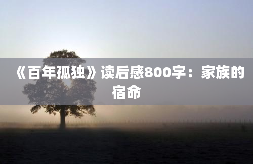 《百年孤独》读后感800字：家族的宿命