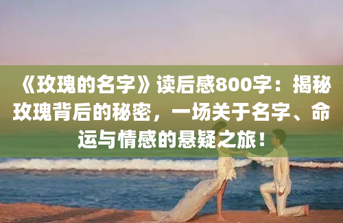 《玫瑰的名字》读后感800字：揭秘玫瑰背后的秘密，一场关于名字、命运与情感的悬疑之旅！