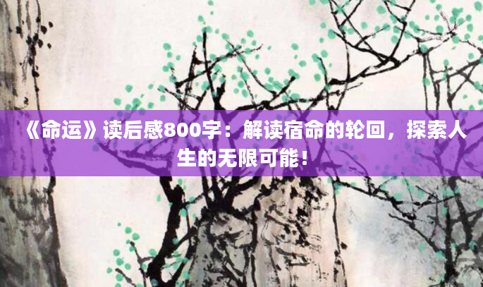 《命运》<a href=https://www.baixuetang.com target=_blank class=infotextkey>读后感</a>800字：解读宿命的轮回，探索人生的无限可能！