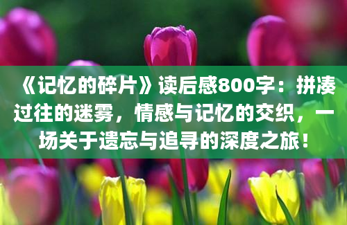 《记忆的碎片》读后感800字：拼凑过往的迷雾，情感与记忆的交织，一场关于遗忘与追寻的深度之旅！