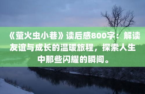 《萤火虫小巷》读后感800字：解读友谊与成长的温暖旅程，探索人生中那些闪耀的瞬间。