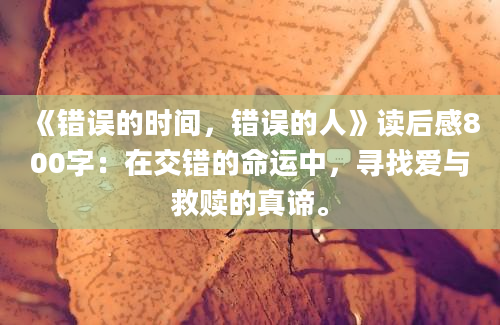 《错误的时间，错误的人》读后感800字：在交错的命运中，寻找爱与救赎的真谛。