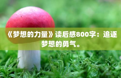 《梦想的力量》<a href=https://www.baixuetang.com target=_blank class=infotextkey>读后感</a>800字：追逐梦想的勇气。