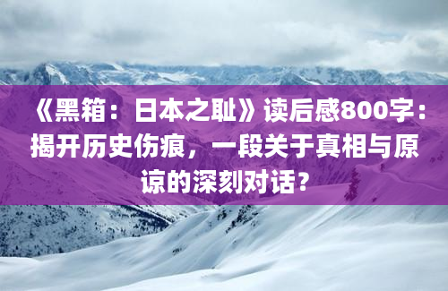 《黑箱：日本之耻》读后感800字：揭开历史伤痕，一段关于真相与原谅的深刻对话？