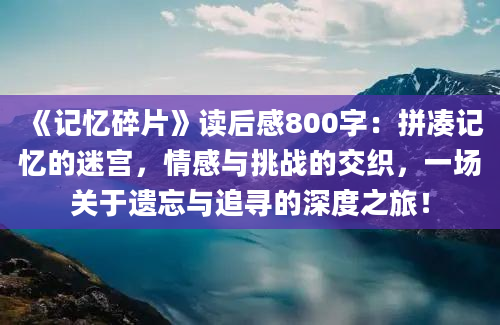 《记忆碎片》读后感800字：拼凑记忆的迷宫，情感与挑战的交织，一场关于遗忘与追寻的深度之旅！