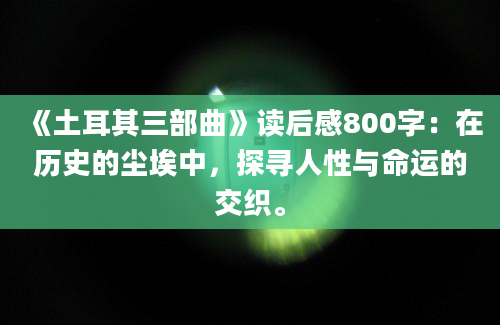 《土耳其三部曲》读后感800字：在历史的尘埃中，探寻人性与命运的交织。