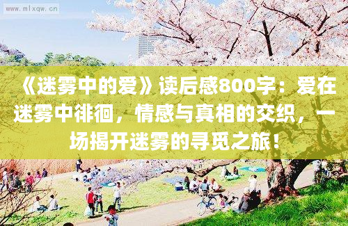 《迷雾中的爱》读后感800字：爱在迷雾中徘徊，情感与真相的交织，一场揭开迷雾的寻觅之旅！