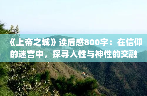 《上帝之城》读后感800字：在信仰的迷宫中，探寻人性与神性的交融