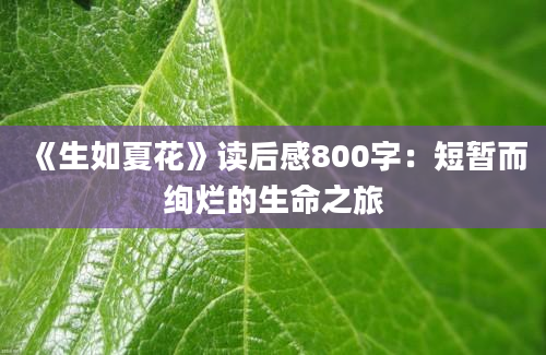 《生如夏花》读后感800字：短暂而绚烂的生命之旅