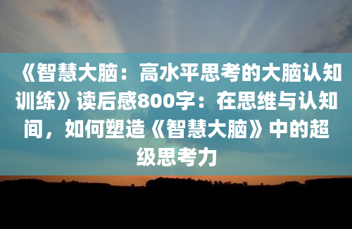 《智慧大脑：高水平思考的大脑认知训练》读后感800字：在思维与认知间，如何塑造《智慧大脑》中的超级思考力