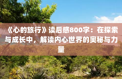 《心的旅行》读后感800字：在探索与成长中，解读内心世界的奥秘与力量