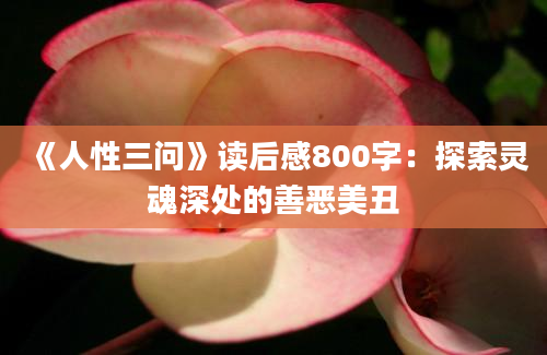 《人性三问》读后感800字：探索灵魂深处的善恶美丑