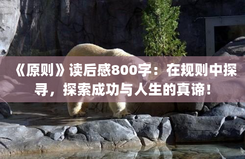 《原则》读后感800字：在规则中探寻，探索成功与人生的真谛！