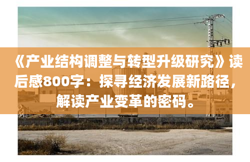 《产业结构调整与转型升级研究》读后感800字：探寻经济发展新路径，解读产业变革的密码。