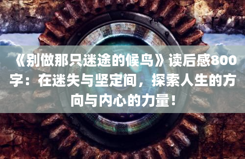 《别做那只迷途的候鸟》读后感800字：在迷失与坚定间，探索人生的方向与内心的力量！