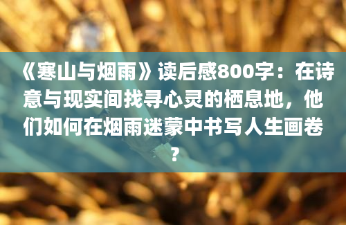 《寒山与烟雨》读后感800字：在诗意与现实间找寻心灵的栖息地，他们如何在烟雨迷蒙中书写人生画卷？