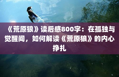 《荒原狼》读后感800字：在孤独与觉醒间，如何解读《荒原狼》的内心挣扎