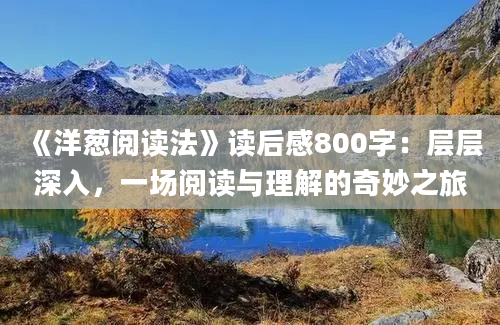 《洋葱阅读法》读后感800字：层层深入，一场阅读与理解的奇妙之旅