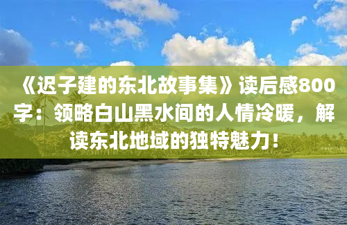 《迟子建的东北故事集》读后感800字：领略白山黑水间的人情冷暖，解读东北地域的独特魅力！