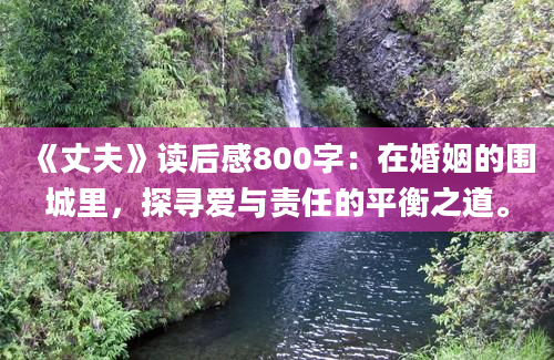 《丈夫》读后感800字：在婚姻的围城里，探寻爱与责任的平衡之道。