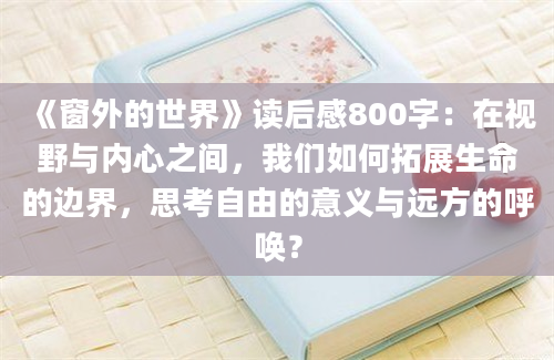 《窗外的世界》读后感800字：在视野与内心之间，我们如何拓展生命的边界，思考自由的意义与远方的呼唤？