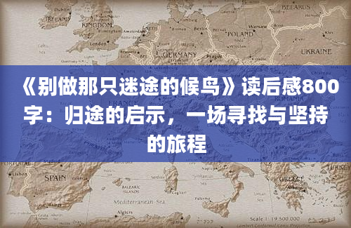 《别做那只迷途的候鸟》读后感800字：归途的启示，一场寻找与坚持的旅程