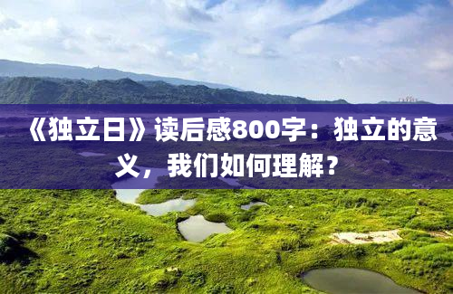 《独立日》读后感800字：独立的意义，我们如何理解？