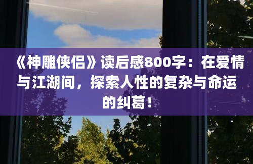 《神雕侠侣》读后感800字：在爱情与江湖间，探索人性的复杂与命运的纠葛！