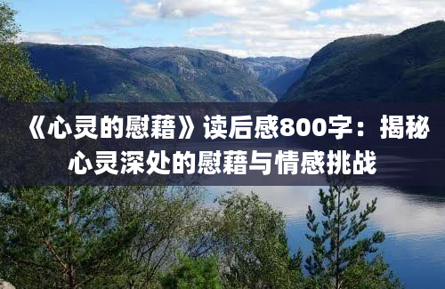 《心灵的慰藉》读后感800字：揭秘心灵深处的慰藉与情感挑战