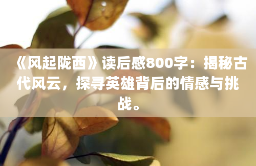 《风起陇西》读后感800字：揭秘古代风云，探寻英雄背后的情感与挑战。