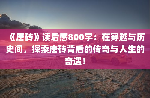 《唐砖》读后感800字：在穿越与历史间，探索唐砖背后的传奇与人生的奇遇！