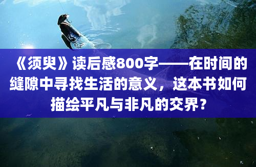 《须臾》读后感800字——在时间的缝隙中寻找生活的意义，这本书如何描绘平凡与非凡的交界？