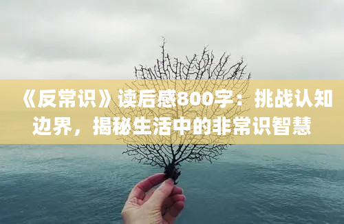 《反常识》<a href=https://www.baixuetang.com target=_blank class=infotextkey>读后感</a>800字：挑战认知边界，揭秘生活中的非常识<a href=https://www.baixuetang.com/tag/zhihui.html target=_blank class=infotextkey>智慧</a>