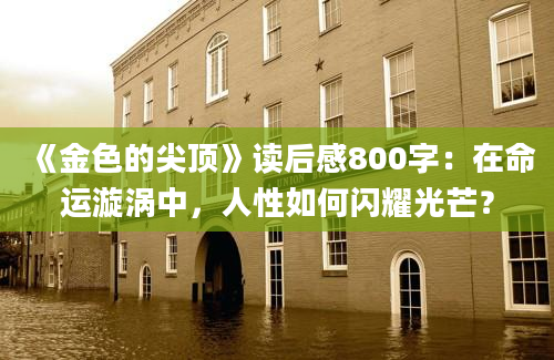 《金色的尖顶》读后感800字：在命运漩涡中，人性如何闪耀光芒？