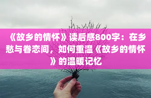 《故乡的情怀》读后感800字：在乡愁与眷恋间，如何重温《故乡的情怀》的温暖记忆