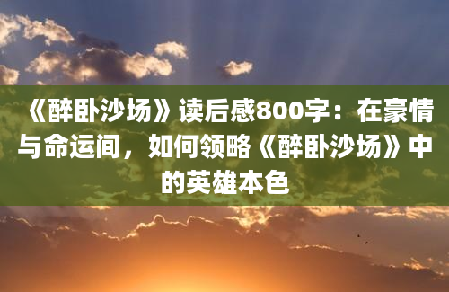 《醉卧沙场》读后感800字：在豪情与命运间，如何领略《醉卧沙场》中的英雄本色