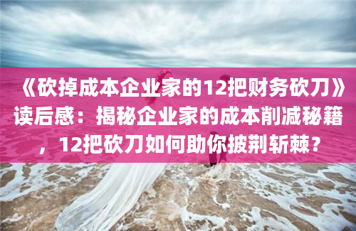 《砍掉成本企业家的12把财务砍刀》读后感：揭秘企业家的成本削减秘籍，12把砍刀如何助你披荆斩棘？