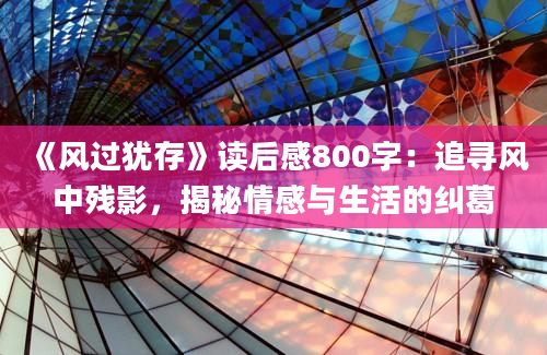 《风过犹存》读后感800字：追寻风中残影，揭秘情感与生活的纠葛