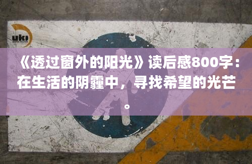 《透过窗外的阳光》读后感800字：在生活的阴霾中，寻找希望的光芒。