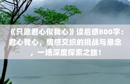 《只愿君心似我心》读后感800字：君心我心，情感交织的挑战与悬念，一场深度探索之旅！