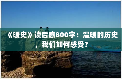 《暖史》读后感800字：温暖的历史，我们如何感受？