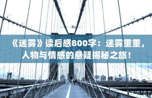 《迷雾》读后感800字：迷雾重重，人物与情感的悬疑揭秘之旅！