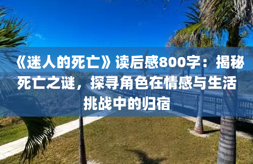 《迷人的死亡》读后感800字：揭秘死亡之谜，探寻角色在情感与生活挑战中的归宿