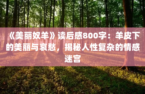 《美丽奴羊》读后感800字：羊皮下的美丽与哀愁，揭秘人性复杂的情感迷宫