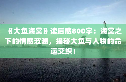 《大鱼海棠》读后感800字：海棠之下的情感波澜，揭秘大鱼与人物的命运交织！