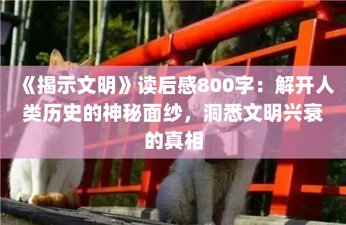 《揭示文明》读后感800字：解开人类历史的神秘面纱，洞悉文明兴衰的真相