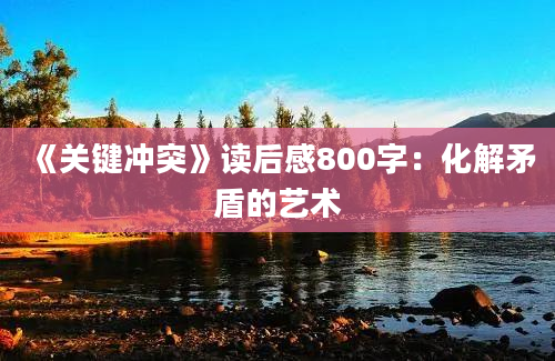 《关键冲突》读后感800字：化解矛盾的艺术