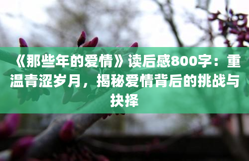 《那些年的爱情》读后感800字：重温青涩岁月，揭秘爱情背后的挑战与抉择