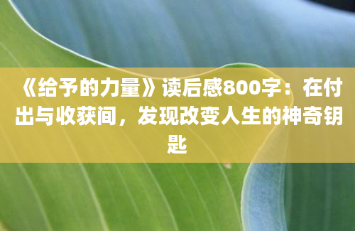 《给予的力量》读后感800字：在付出与收获间，发现改变人生的神奇钥匙