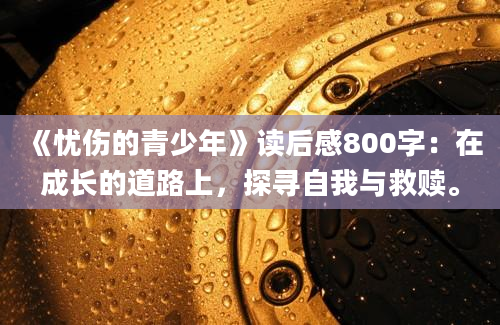 《忧伤的青少年》读后感800字：在成长的道路上，探寻自我与救赎。